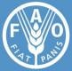 Food and Agriculture Organization Of the United Nations